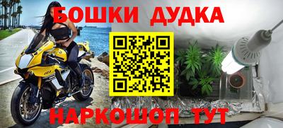 ПСИЛОЦИБИНОВЫЕ ГРИБЫ Бузулук