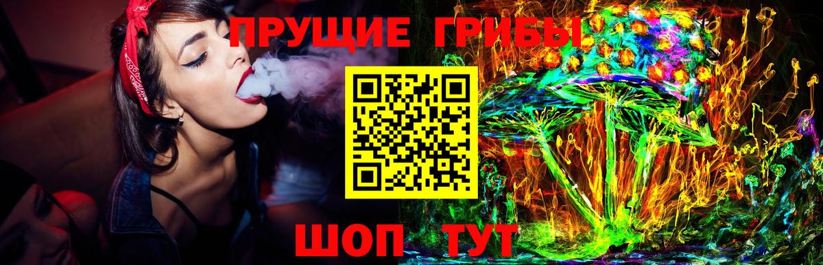Балашов  Псилоцибиновые грибы MAGIC MUSHROOMS  Вход с VPN 